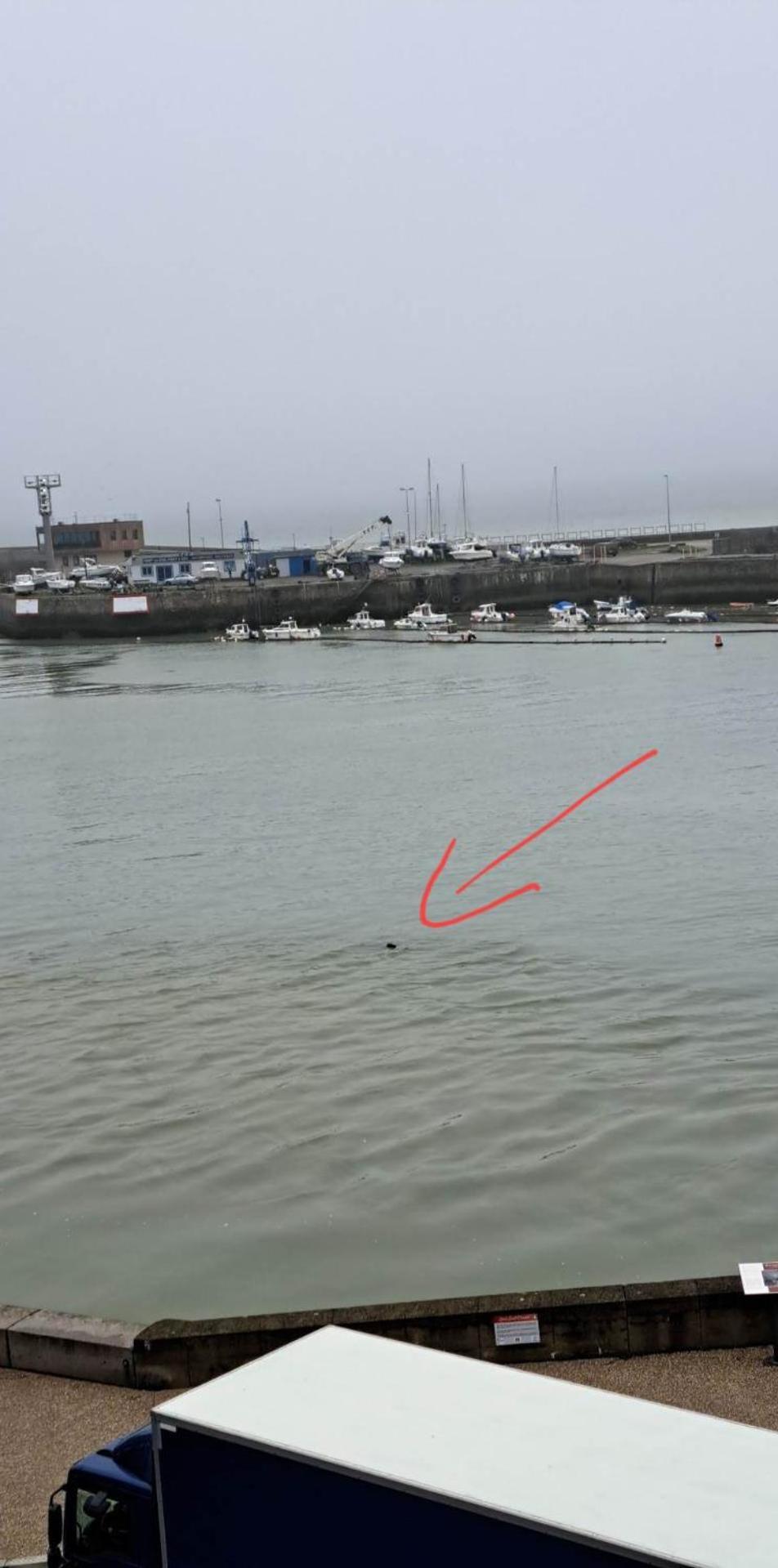شقة O'3 Ports Le Tréport الغرفة الصورة